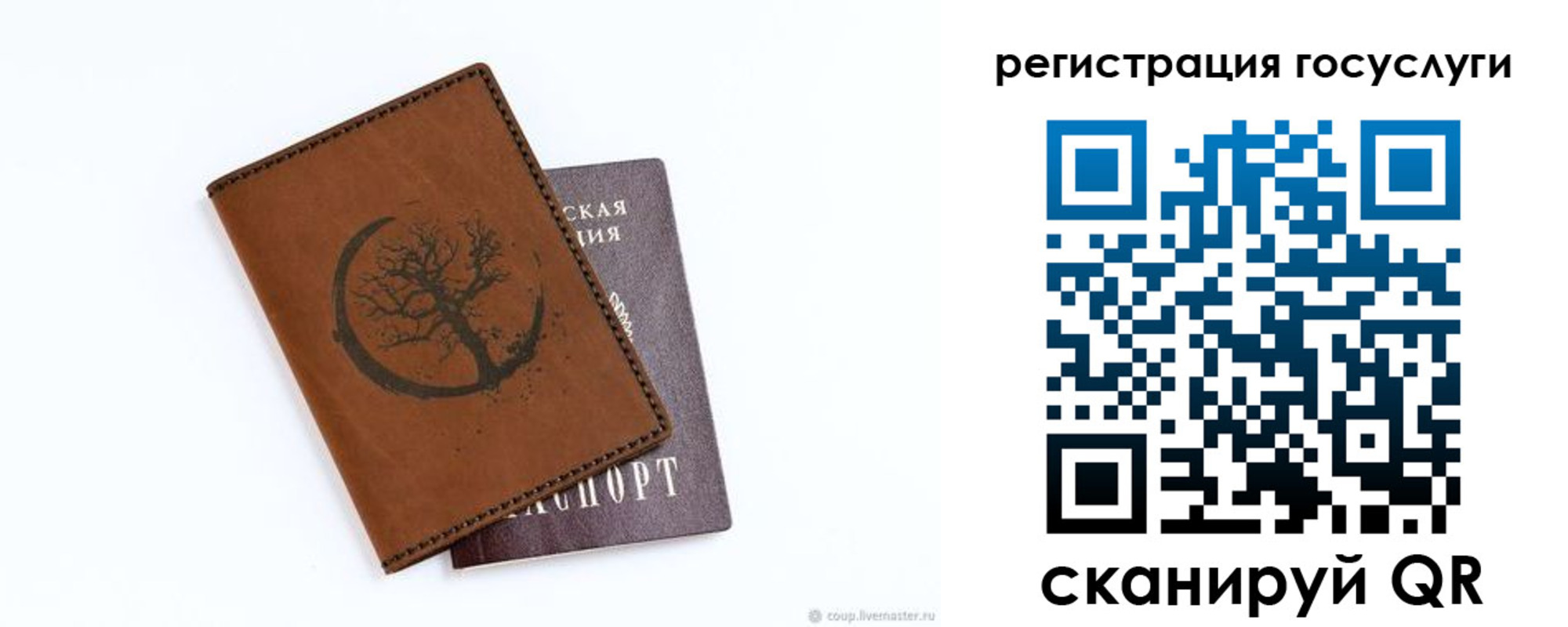 прописка для школы в Мурманской области